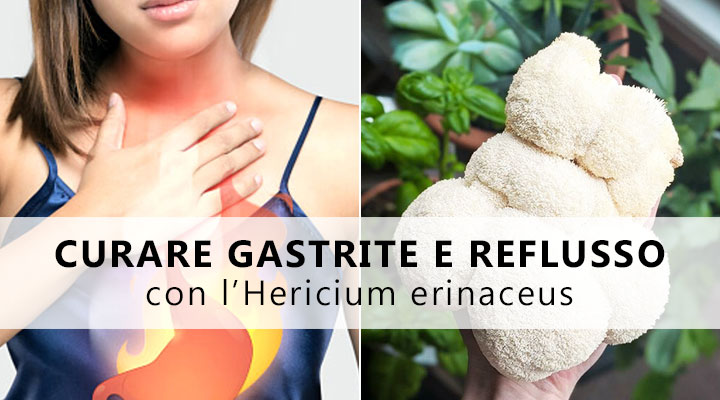 curare gastrite reflusso hericium