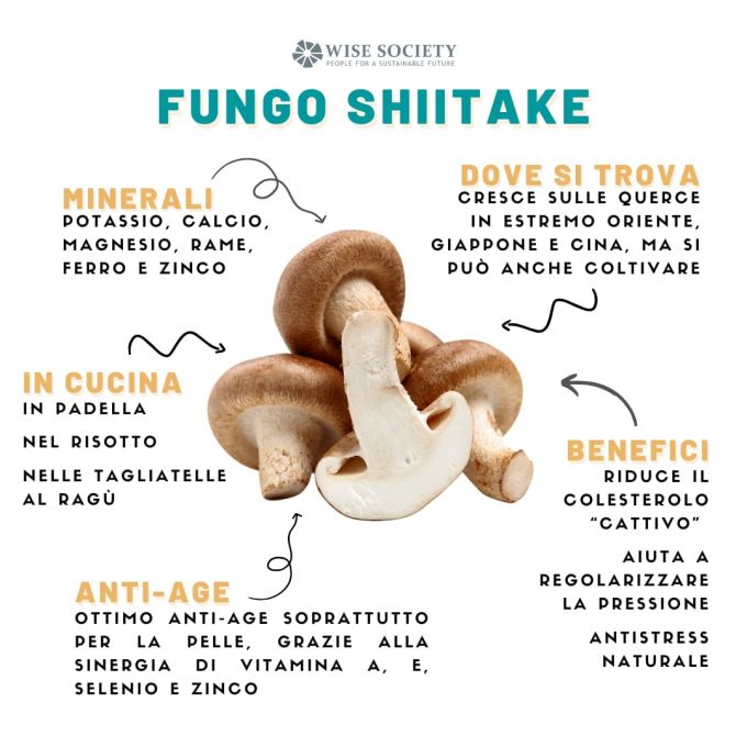 funghi shiitake infografica 680x680 1