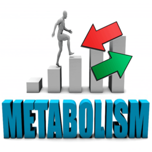 metabolismo mineralogramma