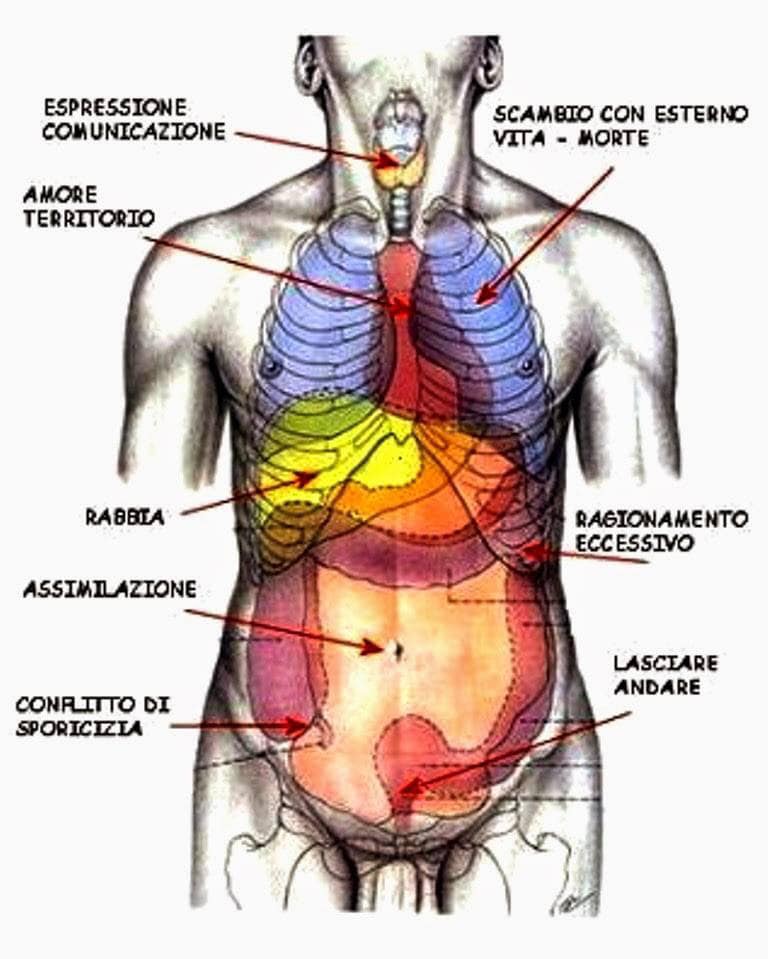 disturbi e messaggi del corpo