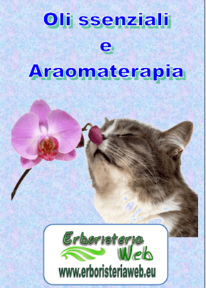 Oli essenziali e Aromaterapia