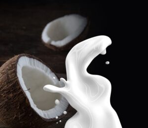 coconut milk 1623611 640