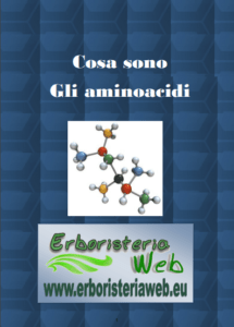 libro amminoacidi mio