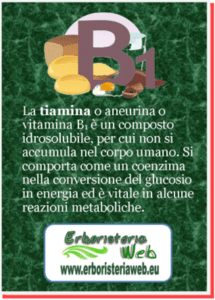 vitamina b1