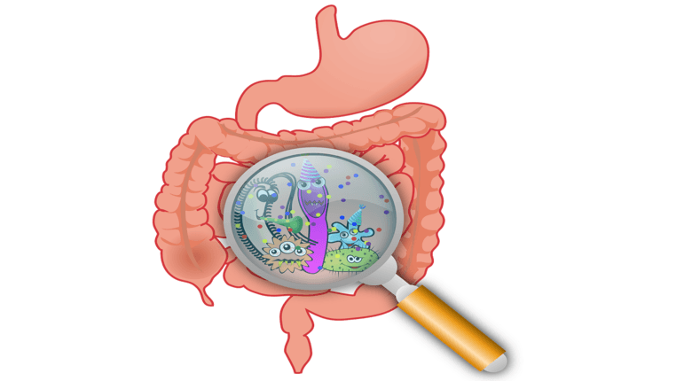 vermi intestinali sintomi e rimedi