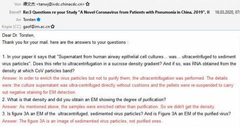 foto il virus covid non esite 5