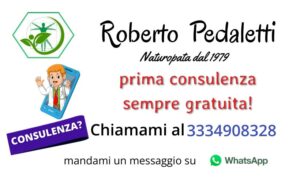 consulenza per blog