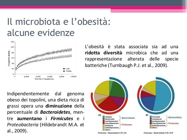 microbiota e malnutrizione 13 638