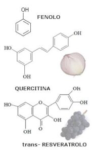 POLIFENOLI