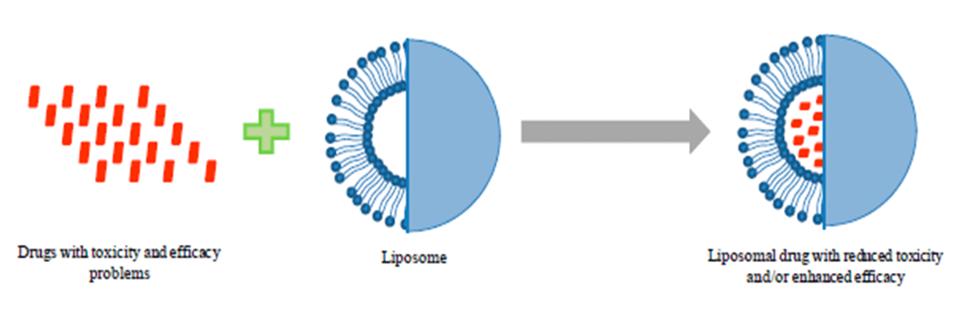 liposomi