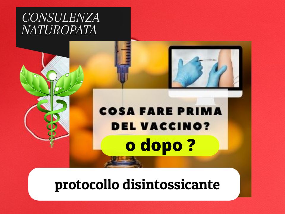 protocollo disintossicante