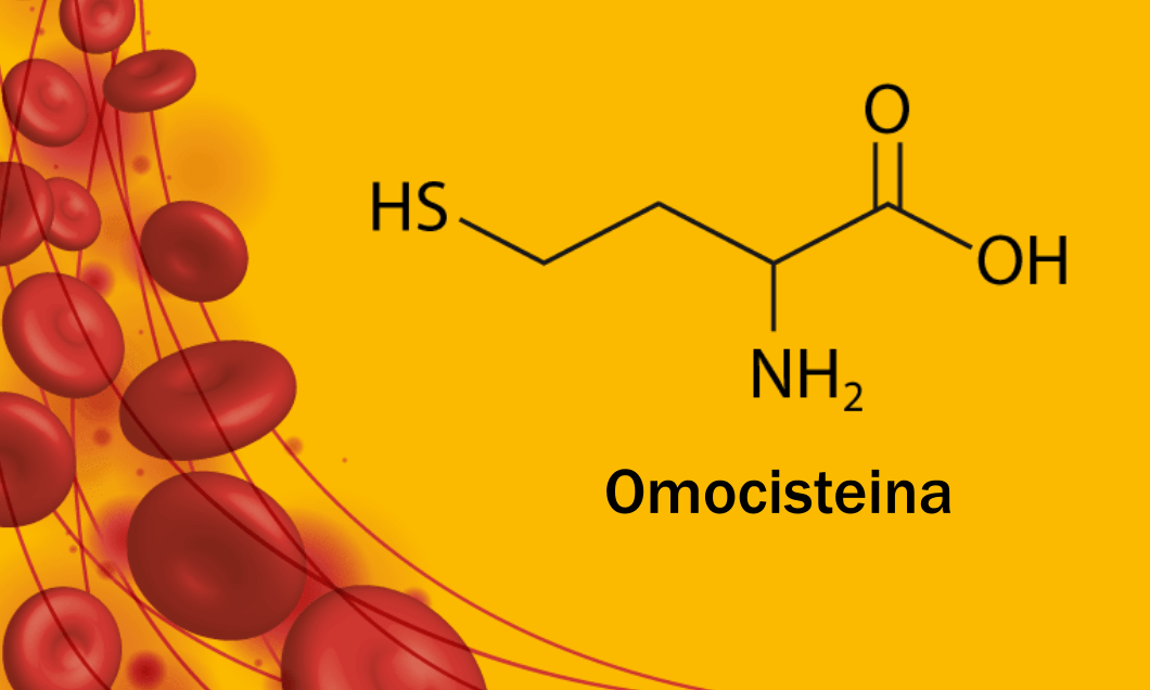 Cos’è l’omocisteina?