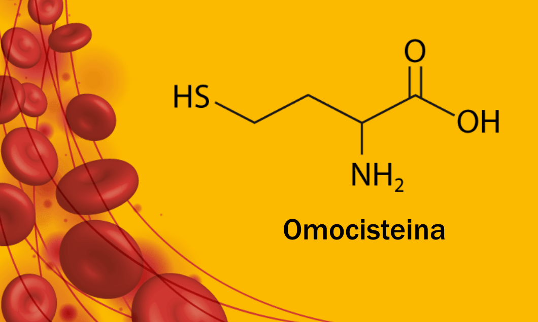 omocisteina 1060x636 1