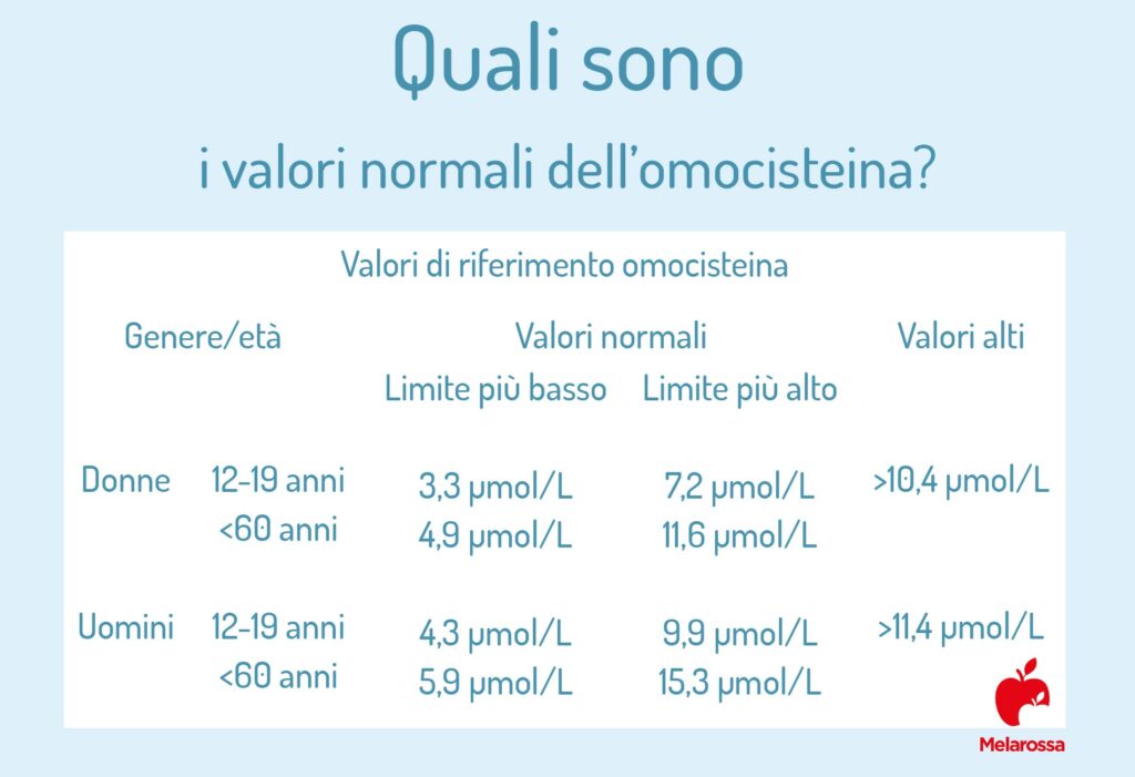 omocisteina valori normali