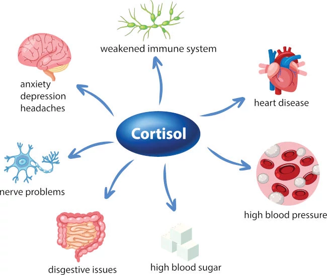 info grafica cortisolo alto sintomi