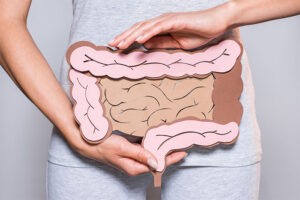 Intestino colon