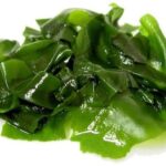 KELP