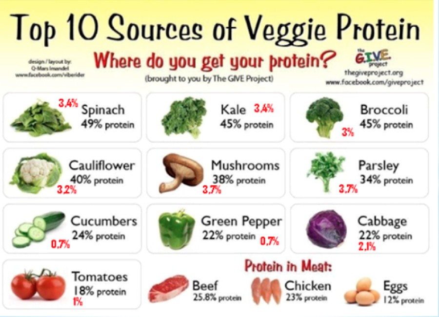 falsificazione proteine vegetali