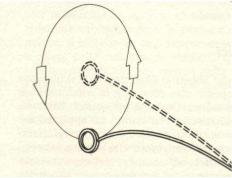 Uso del Biotensor 6