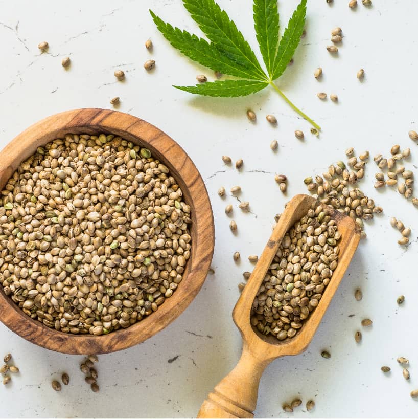 hemp seeds