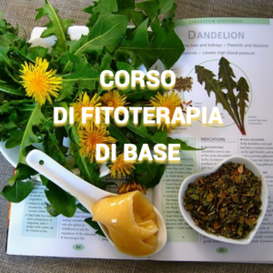 corso curarsi con la fitoterapia