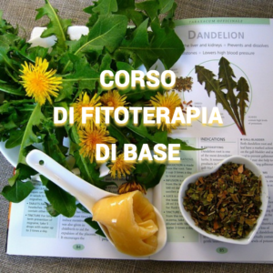 CORSO FITOTERAPIA BASE